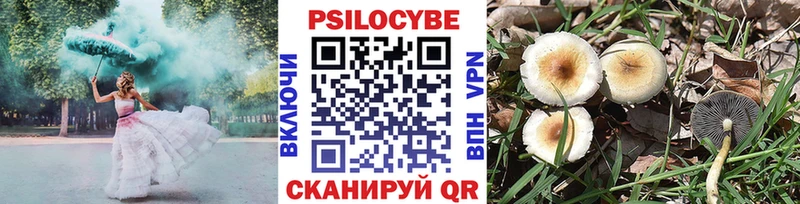 Псилоцибиновые грибы GOLDEN TEACHER  Купить где  Щёлкино 